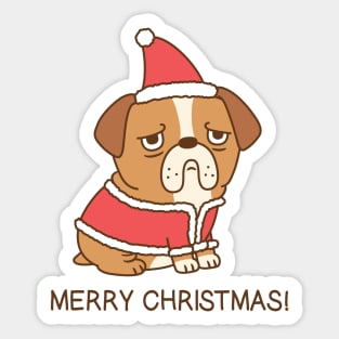 Cute Bulldog In Santa Claus Outfit Merry Christmas Sticker